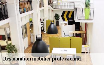 Restauration mobilier professionnel  loire-sur-rhone-69700 L'art & la manière, Tapissier 69